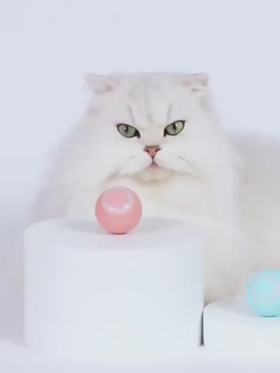 Fluffy white cat with green eyes sitting near interactive balls on white pedestals.